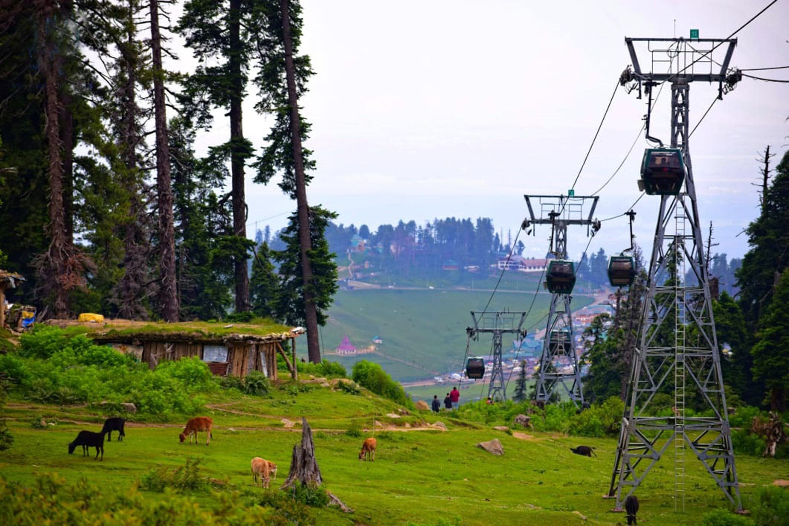 gulmarg gondola pic 3
