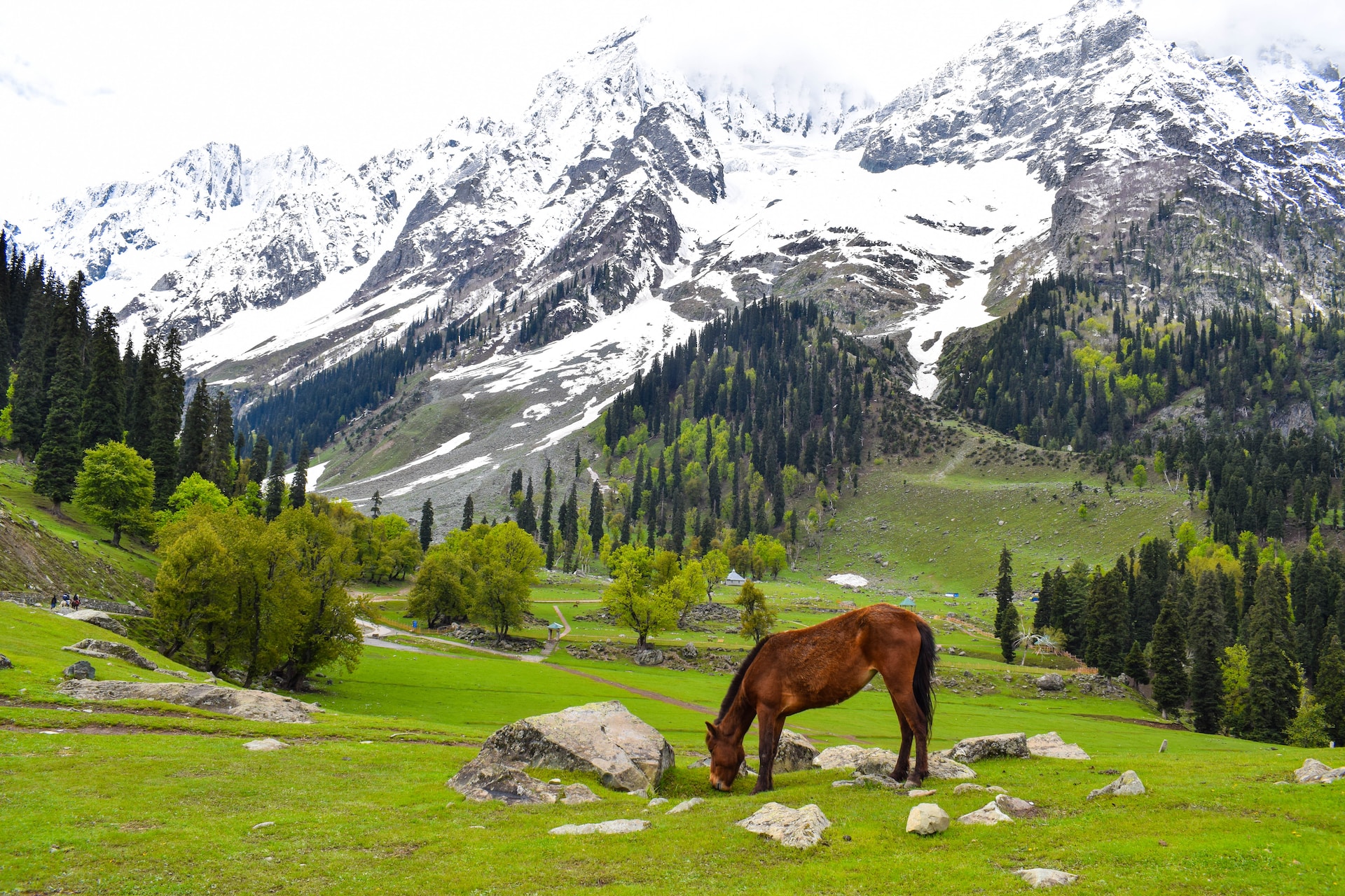 kashmir tourism best of kashmir