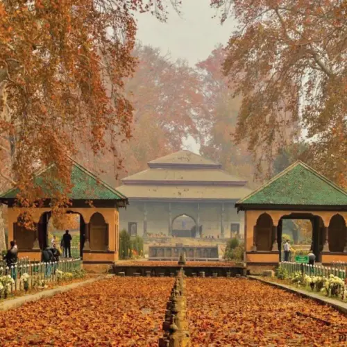 shalimar blog 1200x630