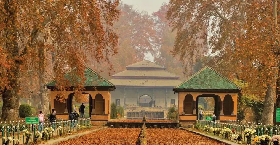 shalimar blog 1200x630