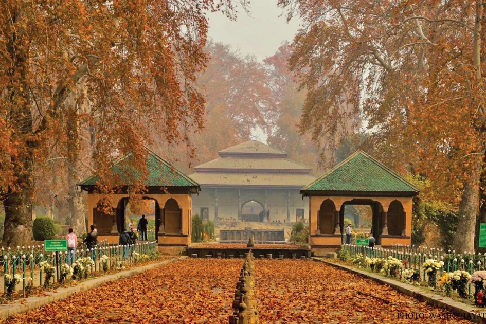 shalimar blog 1200x630