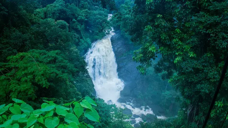 water fall