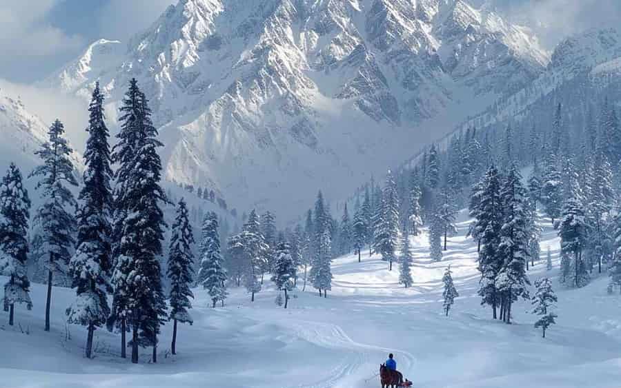 wintry white experience in kashmir