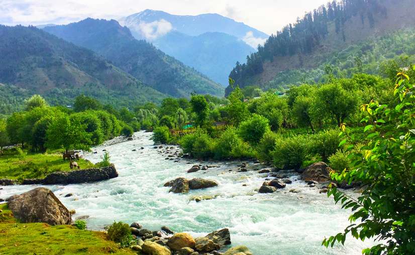 aru valley pahalgam2