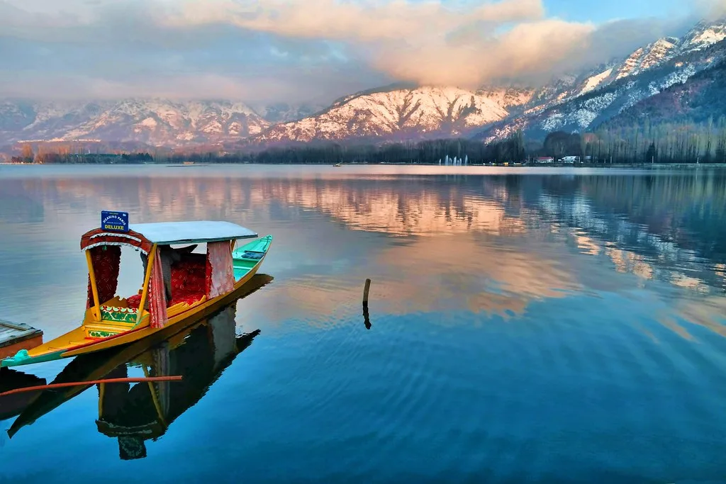 dal lake kashmir brown chinar.jpg