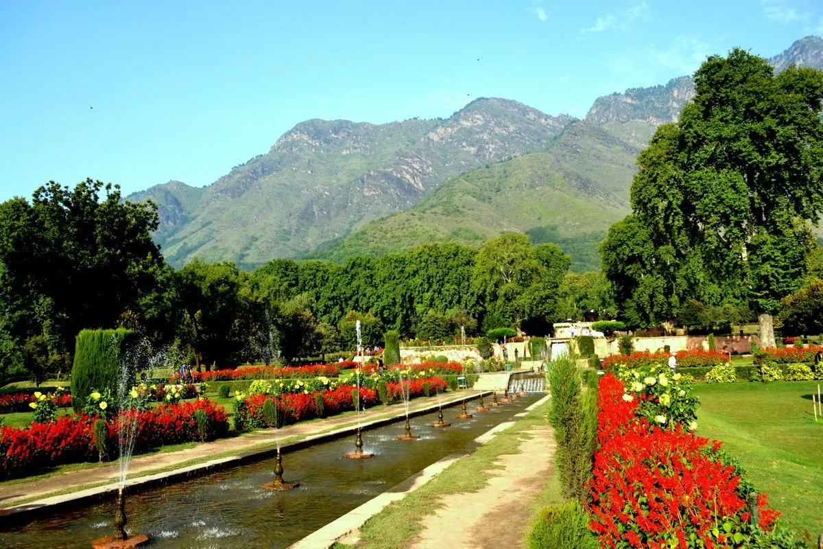 nishat