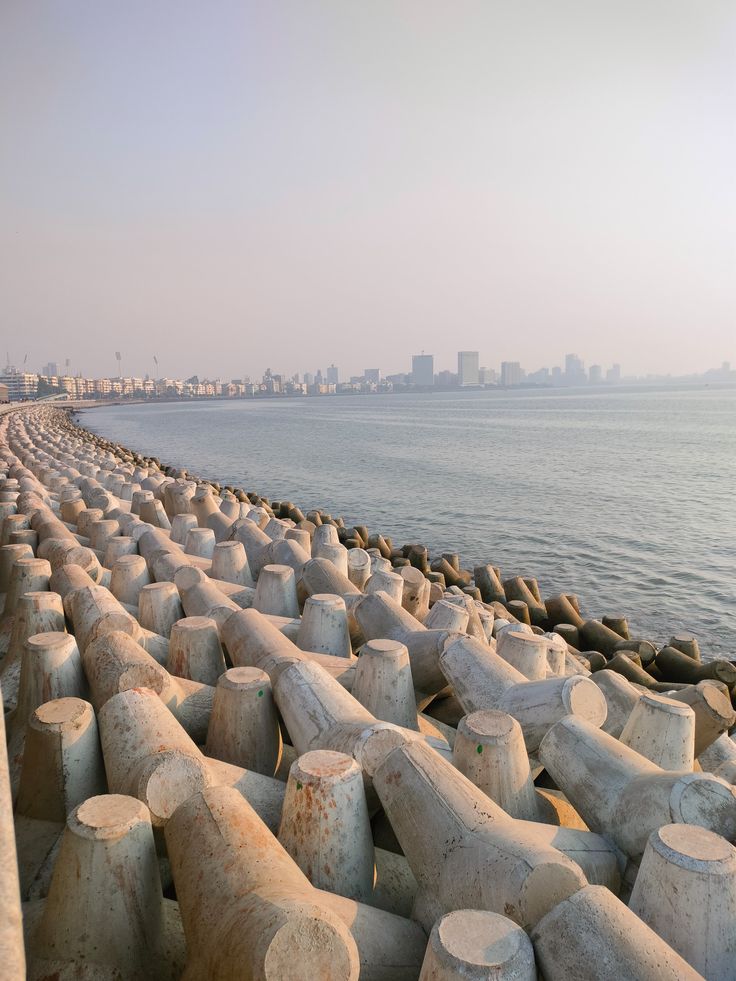 download (1)